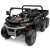 UTV Elektrisch kippbare Plattform Traktor 180W, 12V - Schwarz