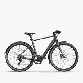 Fiido C21 Elektrofahrrad 250W, 36V, 5,8ah, 35km/h
