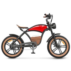 Hidoes B10 Elektrofahrrad 1000W, 48V, 12,5ah, 45km/h