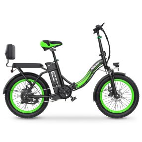 Hidoes C1 Elektrofahrrad 750W, 48V, 13ah, 40km/h