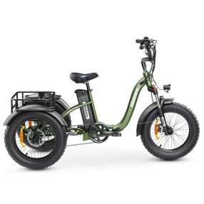 Hidoes ET1 Elektrofahrrad 750W, 48V, 20ah, 40km/h
