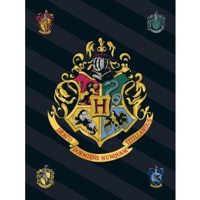 Harry Potter Black polár takaró 100x140cm