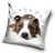 Kutyás Pit Bull Terrier Cute párnahuzat 40x40 cm