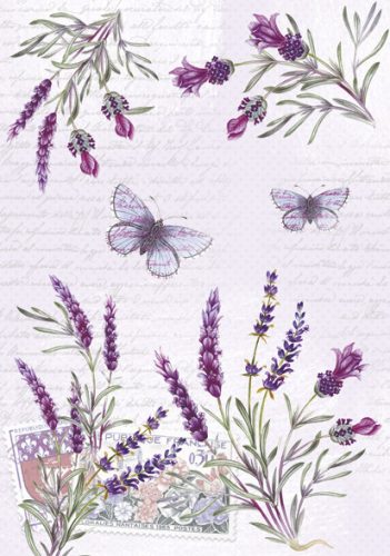 Levendula Butterfly A/4 gumis mappa