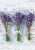 Levendula Bouquet A/4 gumis mappa