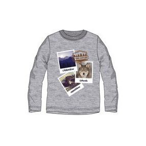 Ushuaia Pictures Szürke férfi otthoni póló S-XXL