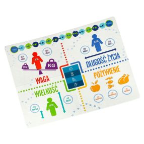   Oktató játék A játék tetején a kíváncsiaknak 8+ MULTIGRA