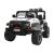 Off-Road Geoland Power SUV 2 Personen, 400w, 24V/7ah Elektrokleinwagen - weiß