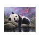 Malowanie po numerach Panda na Odpoczynku 40x50 Płótno + Farby + Pędzle
