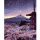 Malowanie po numerach Wieczór w Japonii 40x50 Płótno + Farby + Pędzle