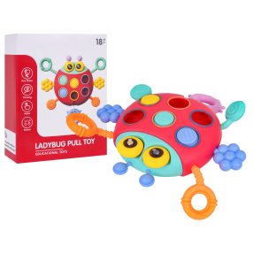 Wielofunkcyjna Biedronka Dla Najmłodszych