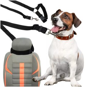 Pórázok és hámok